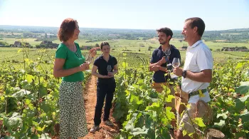 Ca roule en cuisine à Chassagne-Montrachet