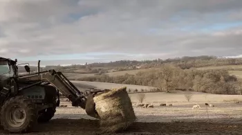 Les authentiques, un documentaire réalisé par Nicolas Fay 