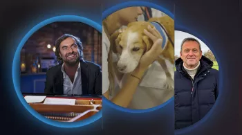 Les nouveaux magazines