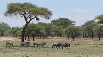 DECALAGE HORAIRE EN TANZANIE 