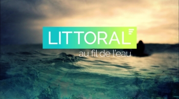 Littoral au fil de l'eau 