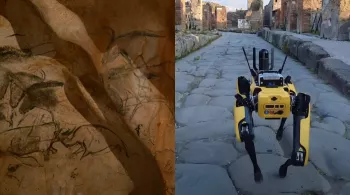 Chauvet & Pompeii