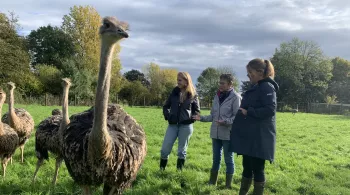 Envie dehors en Mayenne 