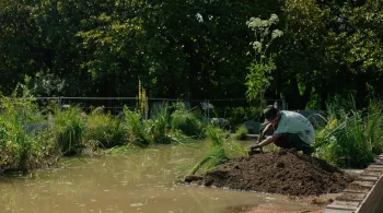 Jardin Public - Aurelien plante une angelique