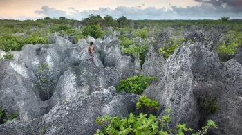 Agriculteurs, chasseurs de crabes, cultivateurs de coprah ont pris le parti de vivre des seules ressources de cette terre unique. Une vie traditionnelle mais modeste, aujourd’hui menacée. 