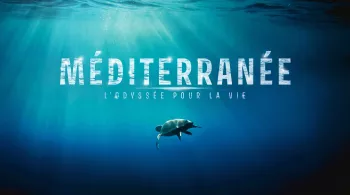 méditerranee