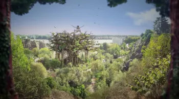 Arbre aux hérons 
