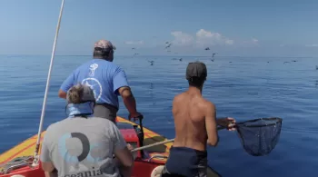 Bleu Océan - Mag 14