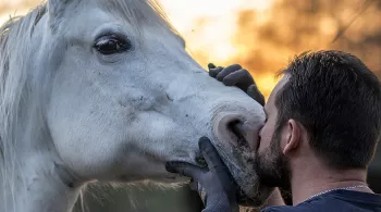 Le bien-être animal