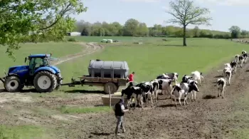 Le sens de la terre