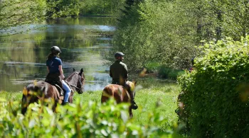 cavaliers au bord des mille etangs haute saone