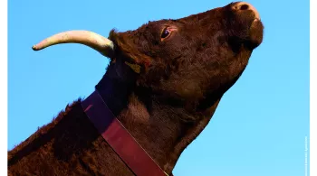 Salon de l'Agriculture 2023