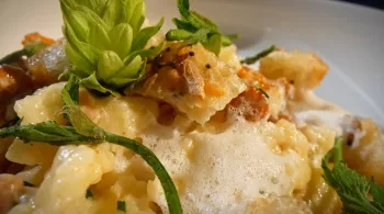 Succulent ! Le houblon