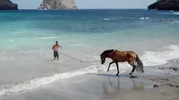 UA HUKA : L'ÎLE AUX CHEVAUX 