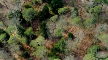 Enquêtes de Région - forêts