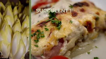 Succulent ! - Recette et trésors autour des endives, chicons, perles du Nord - CREDIT FTV