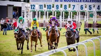 coupe-clarcke@BMO_Bruno-Moure