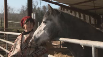 Courants d'Est - Chevaux - crédit FTV