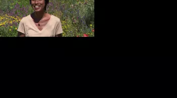 Photo de Sylvie Malal, journaliste