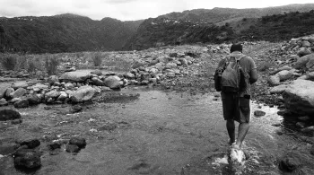 À La Réunion, un simple bout de tissu rouge accroché à un rétroviseur ou à un arbre peut devenir talisman, une prière silencieuse. On l’appelle la « garantie ». Héritage discret mais tenace d’un monde où les ancêtres venus d’Afrique, d’Inde ou de Madagascar murmurent encore à l’oreille des vivants.