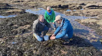 Homard & Cordon Bleu - Caroline