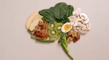Les pouvoirs de l'alimentation sur notre cerveau
