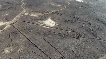 Le mystère des cerfs-volants du désert