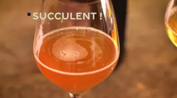 Succulent ! Cidre - crédit FTV