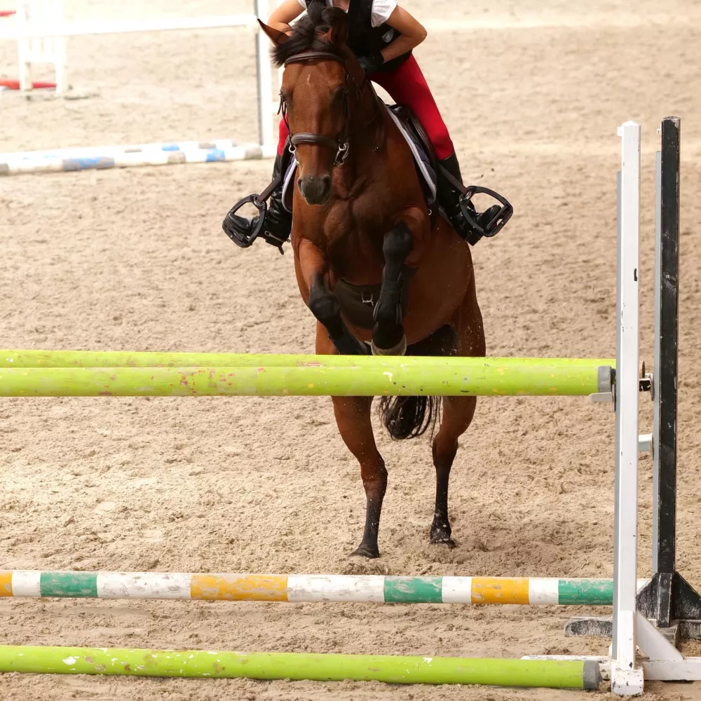 AU GALOP !