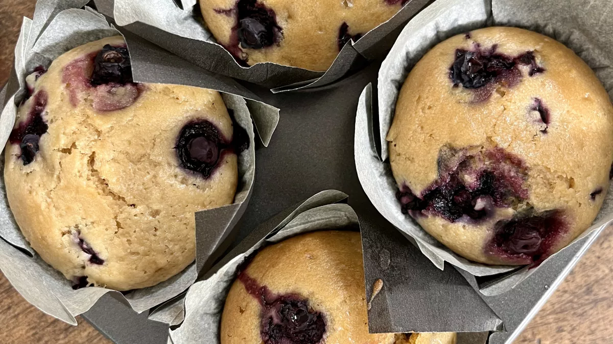 NA-LGDR188 - Muffins aux myrtilles