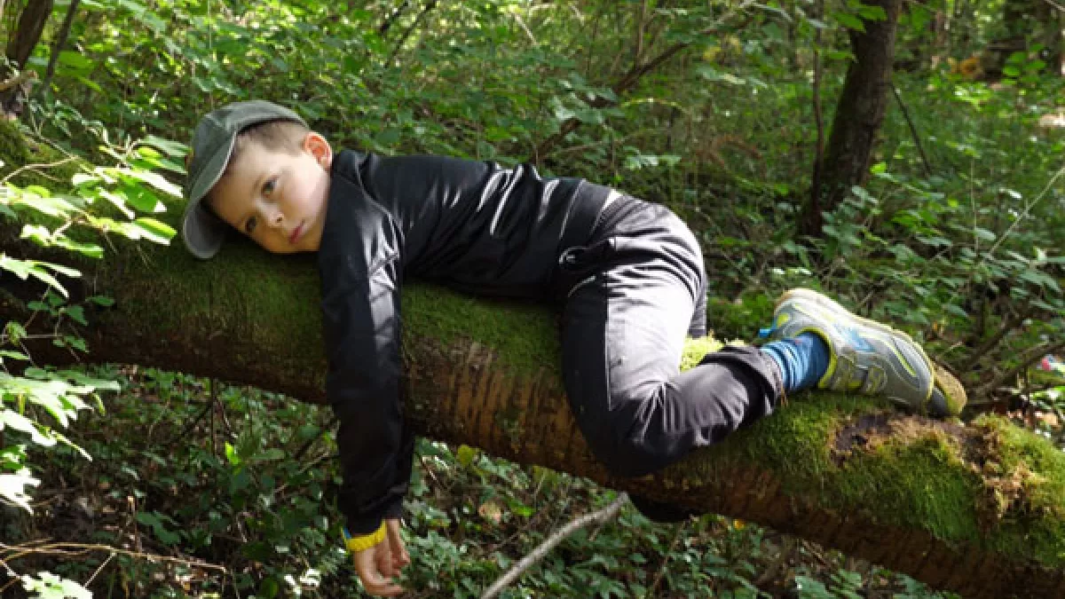 foret classe 3