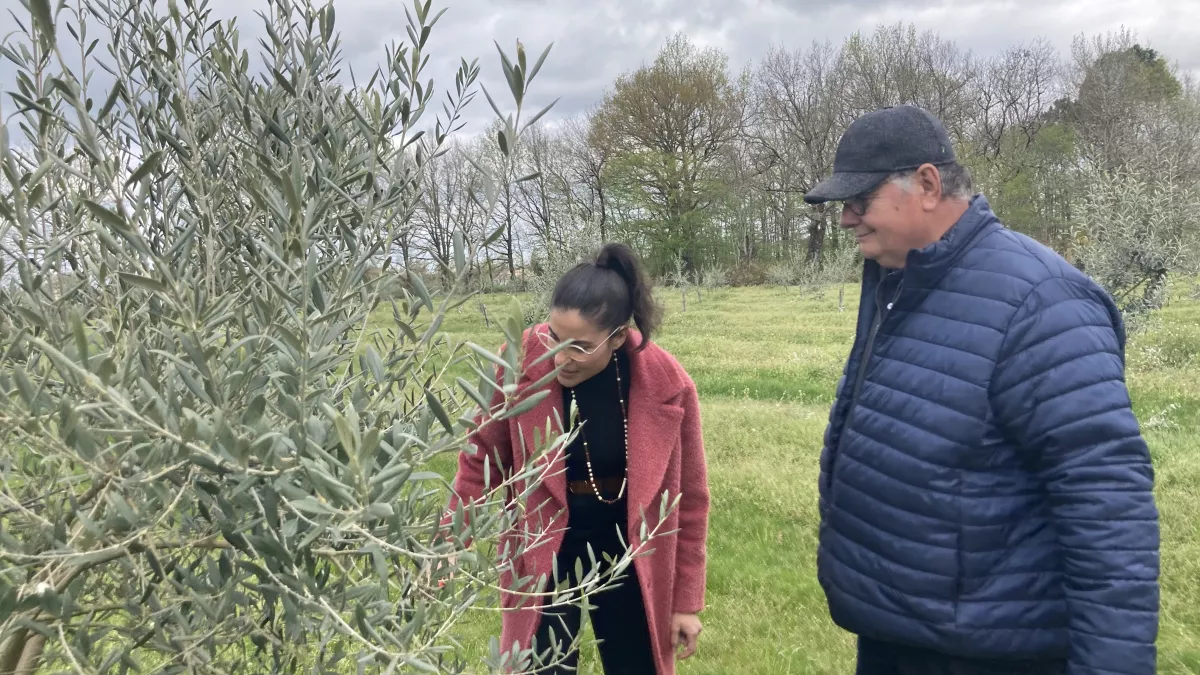 Le goût des rencontres en Nouvelle-Aquitaine 