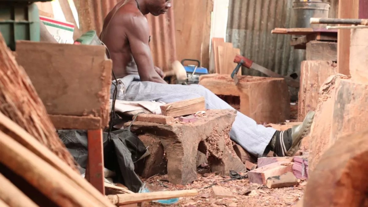 Documentaire : L'Âme du bois Documentaire : L'Âme du bois