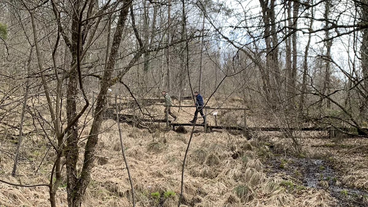 La Tête à l'Endroit dans le Châtillonnais