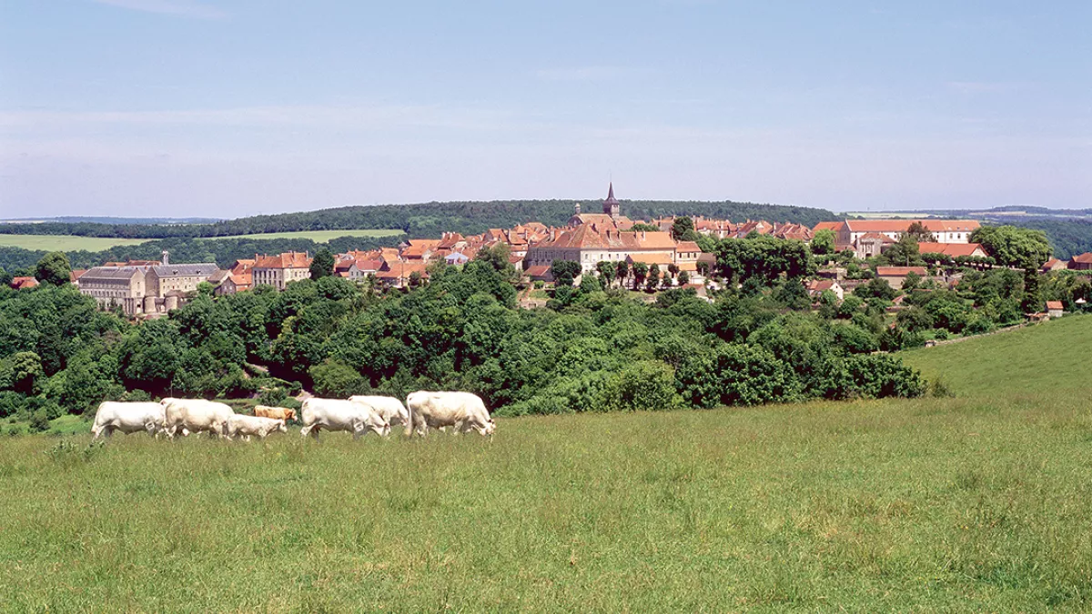 Flavigny-sur-Ozerain