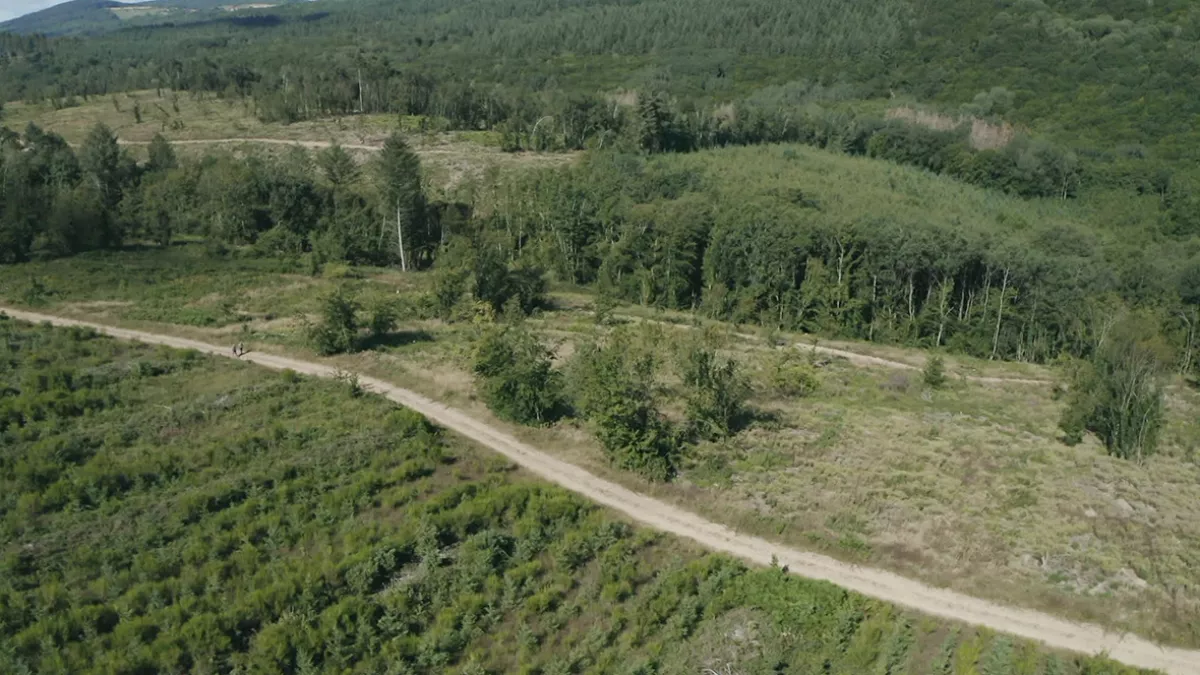 Morvan, pour quelques douglas de plus