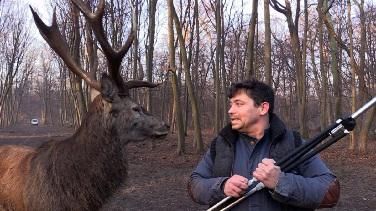 Documentaire : Une forêt et des hommes Documentaire : Une forêt et des hommes