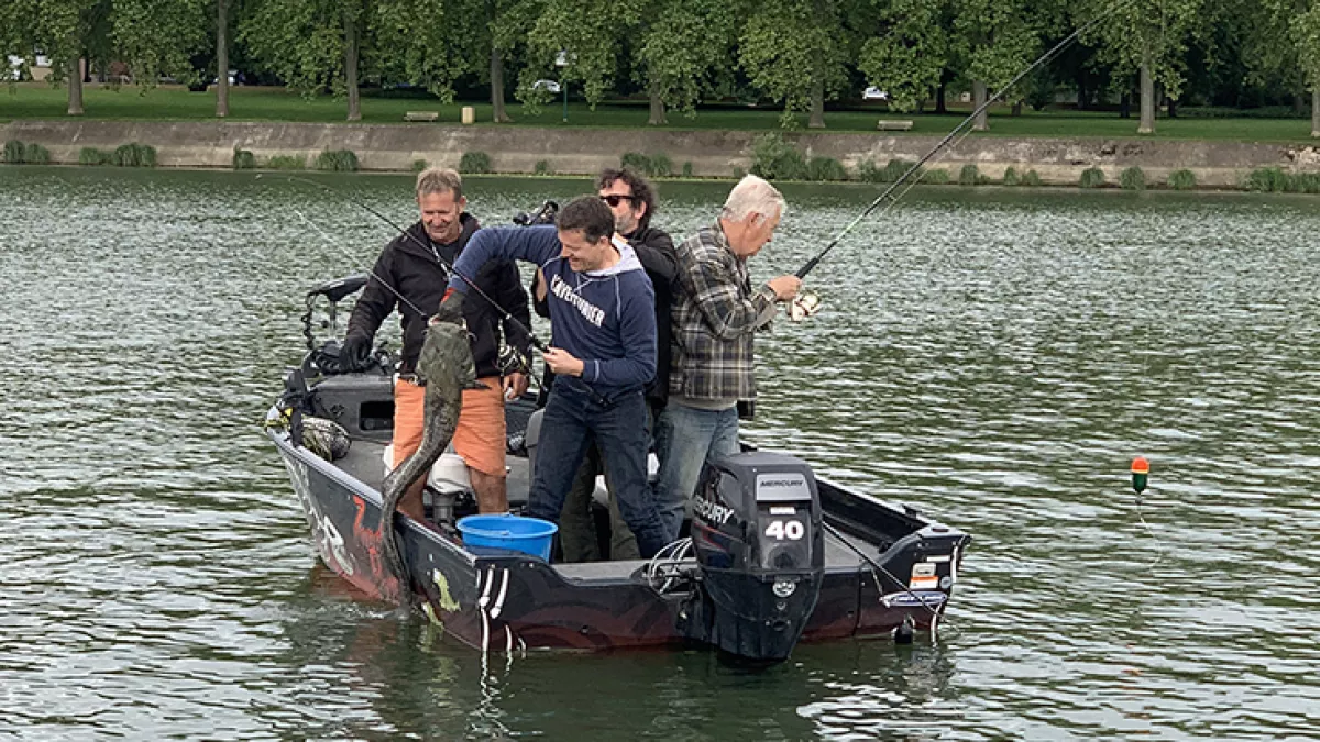 La Tête à l'Endroit à Mâcon