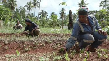 Les pionnières de Mayotte