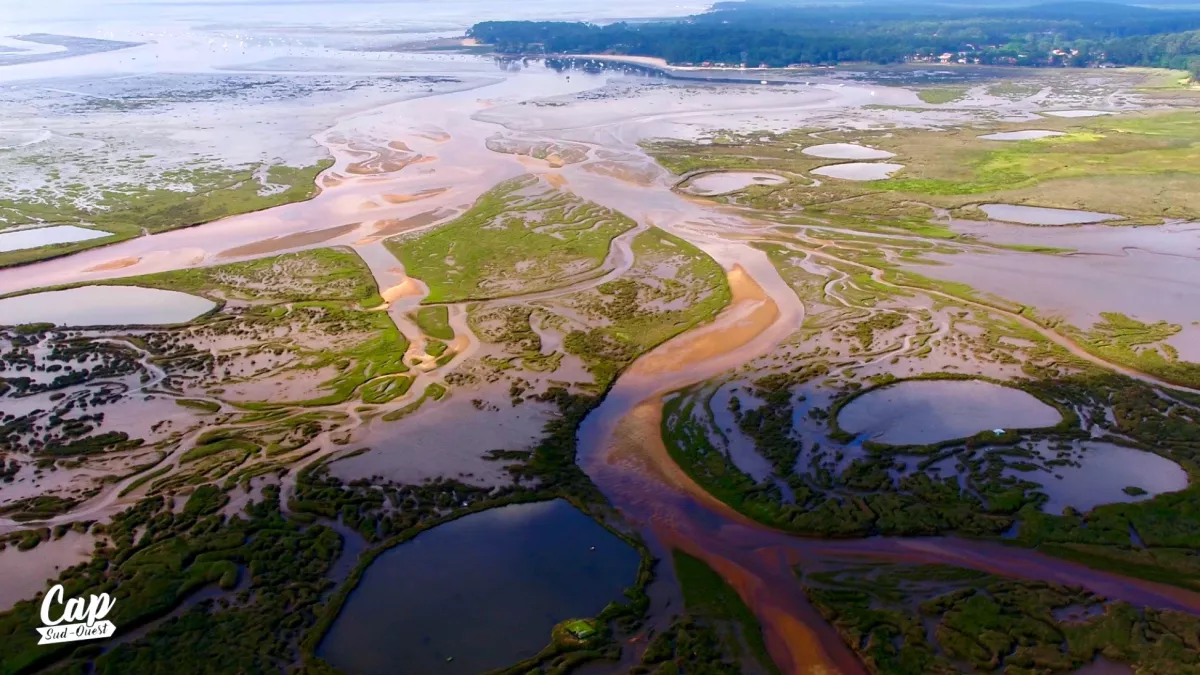 Bassin d'Arcachon