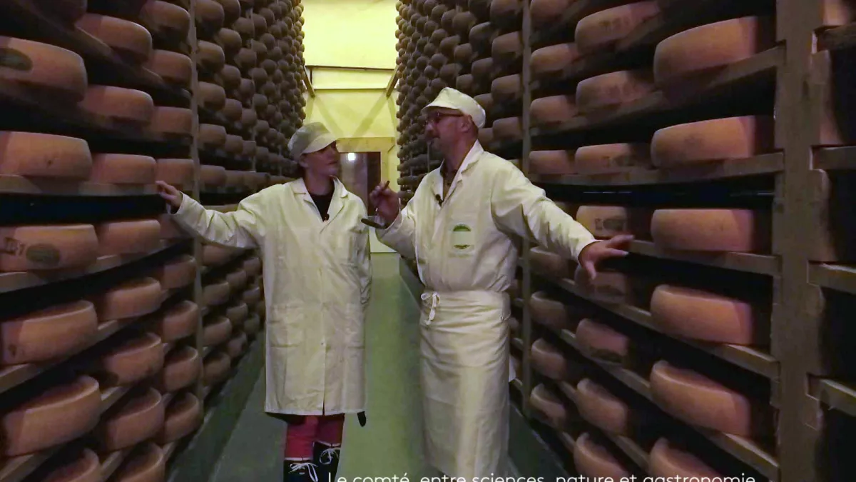 Le comté