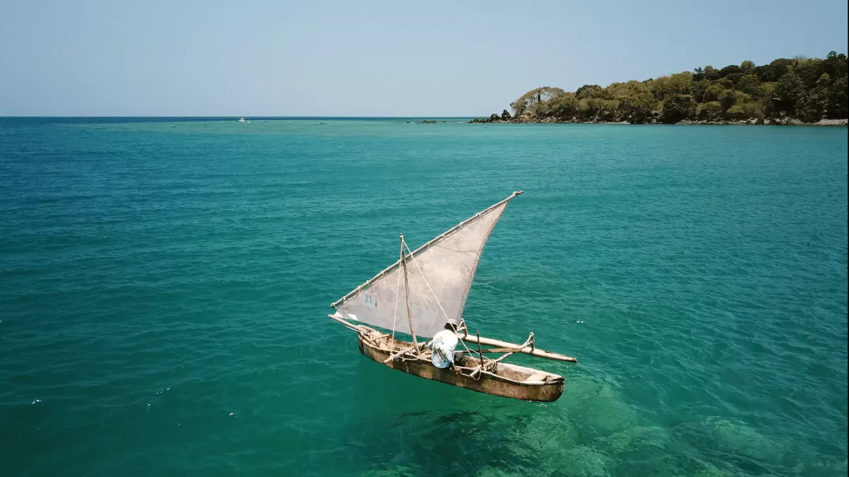 Les engagés de l’île aux parfums © La Cerise sur le Gâteau Prod