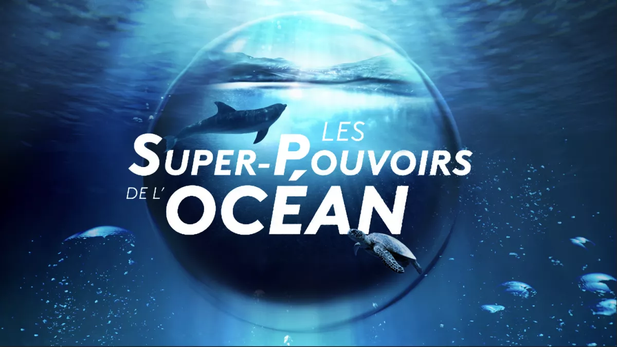 Les supers pouvoirs de l'océan