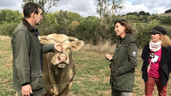 Ça roule en cuisine au Vaudésir à Avallon