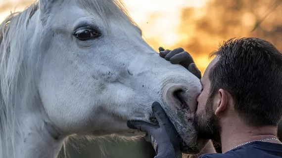 Le bien-être animal