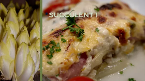 Succulent ! - Recette et trésors autour des endives, chicons, perles du Nord - CREDIT FTV