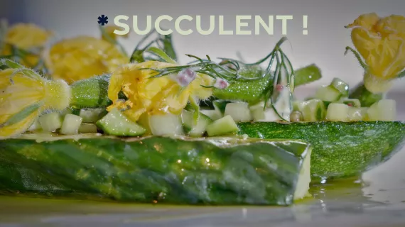Succulent ! Cornichon - crédit FTV