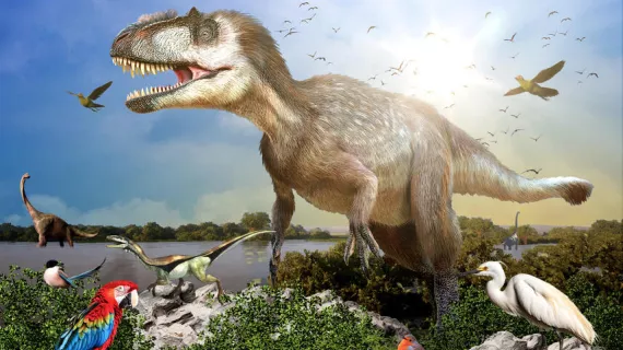 La fabuleuse histoire des oiseaux