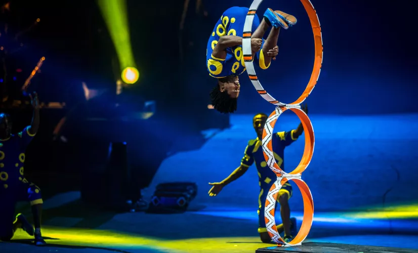 © Lapin Blanc / Cirque Phenix CIRKAFRICA 2