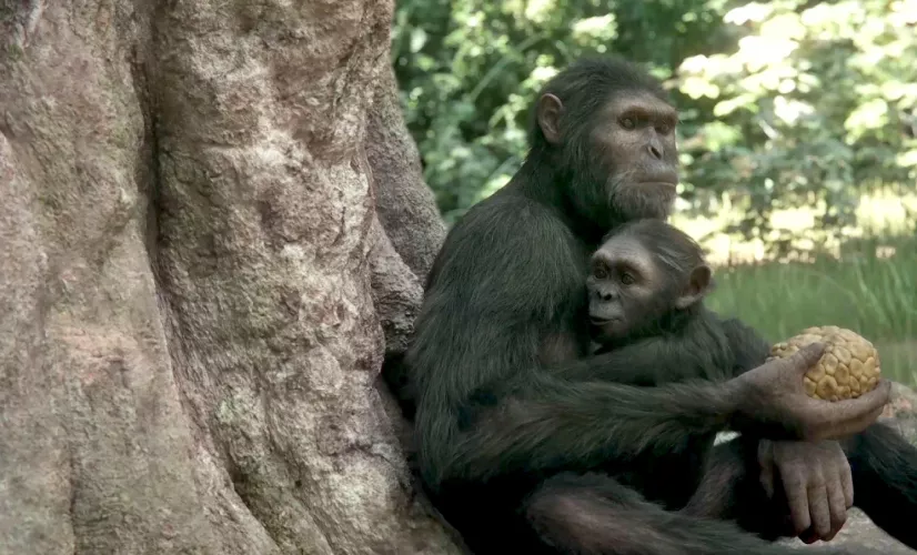 © FTV / NHK / Autentic / CuriosityStream / PTS / S4C NOS ANCÊTRES LES HOMINIDÉS